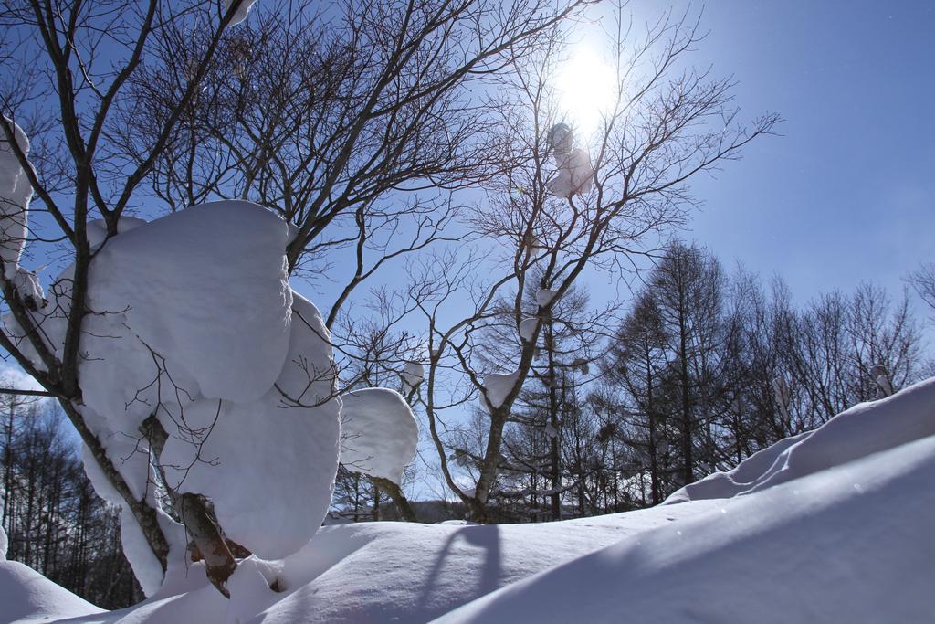 ニセコフリーダムイン 倶知安町 部屋 写真
